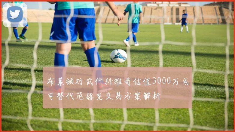 布莱顿对武什科维奇估值3000万或可替代范赫克交易方案解析
